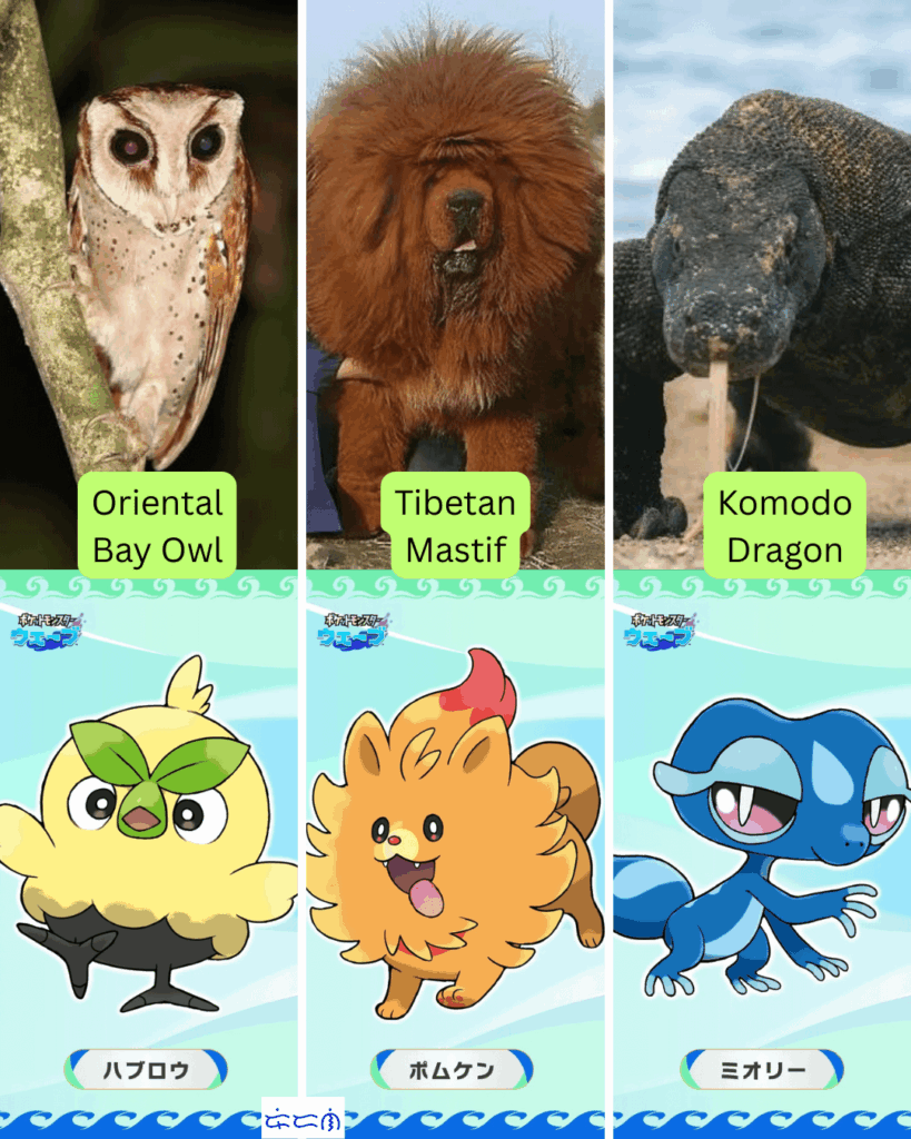 Final Evolution Theory for Gen 10
