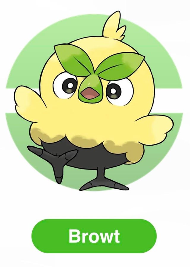 Staters official artwork