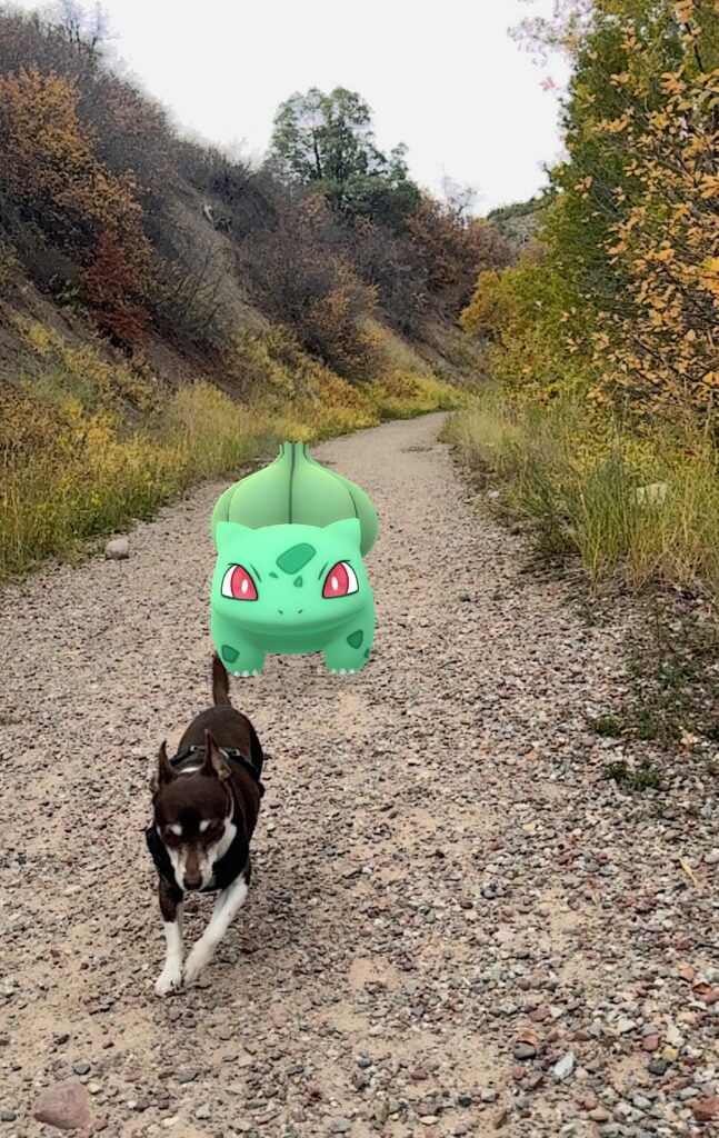 Bulbasaur playing chase with my dog