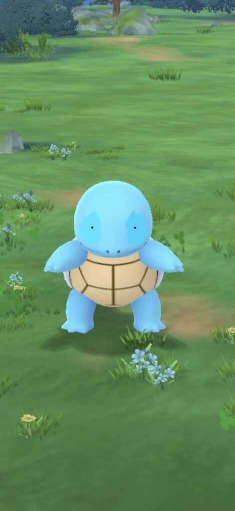 Why don’t we see ditto like we do in the shows?