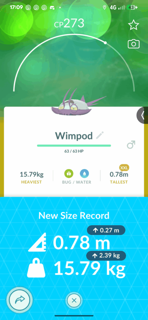 What does this New size record mean?
