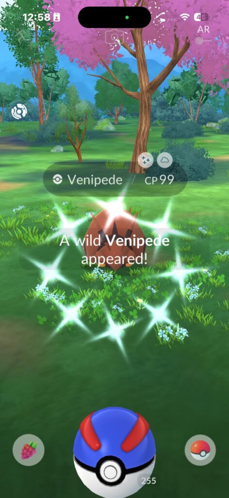 back to back shinies from the comfort of home