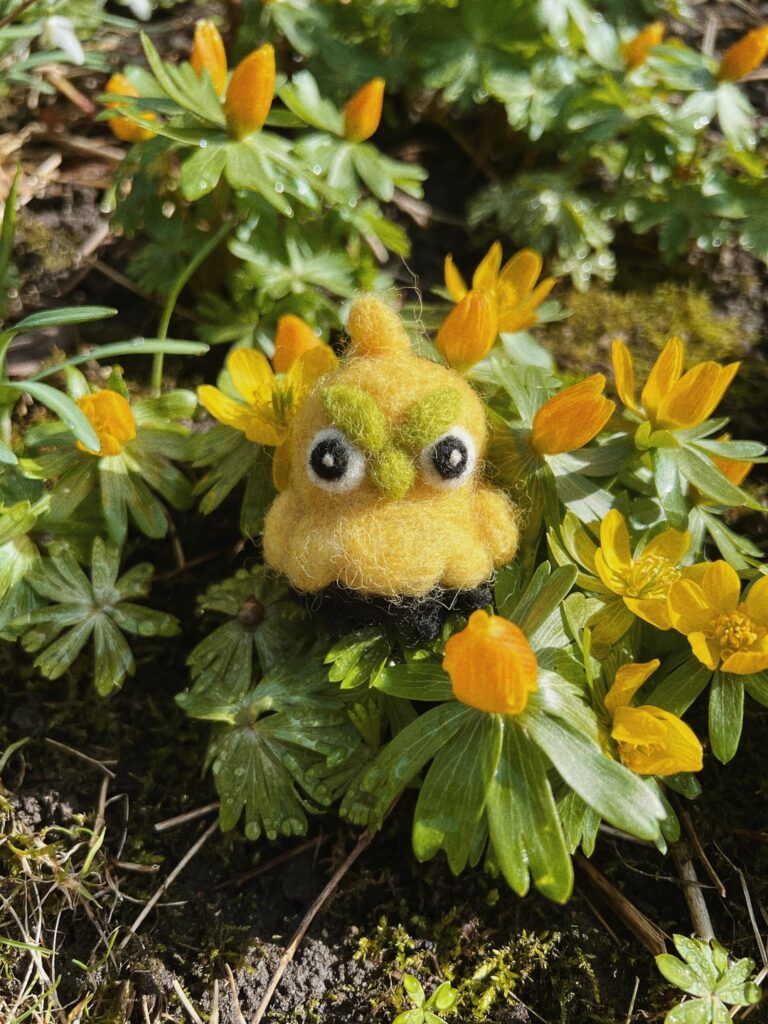 Browt photo shoot 🌼