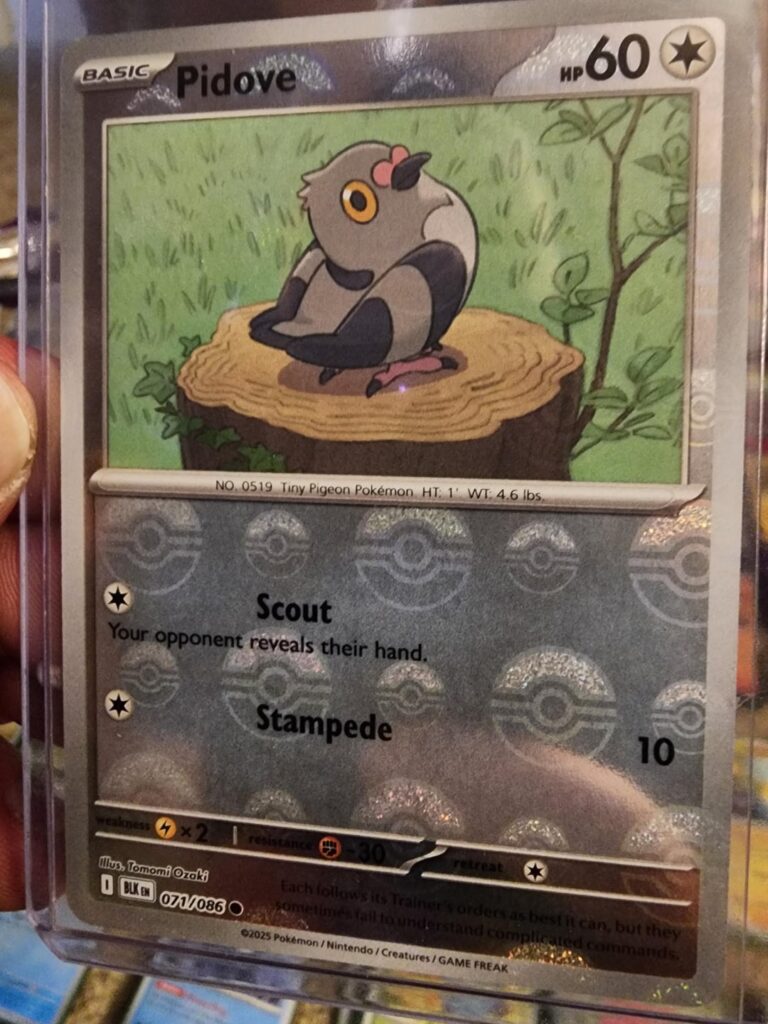 I've never seen a card like this.