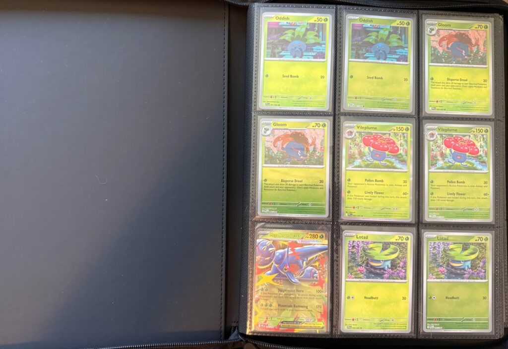 Booster Packs from TCG player (PFL Master set)