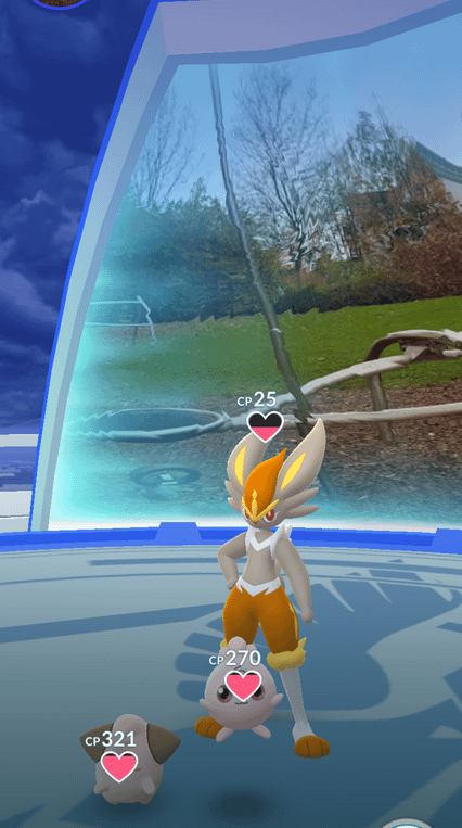 I checked back on my cinderace. I guess the others found it appropriate to help it with its training 💀⚽⚽