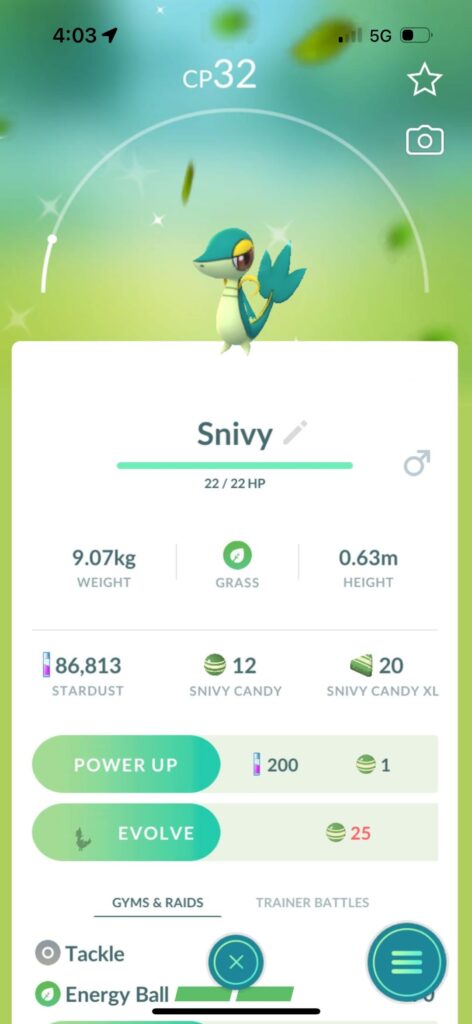 2 shinies in under 5 minutes 😍 so cuteeee