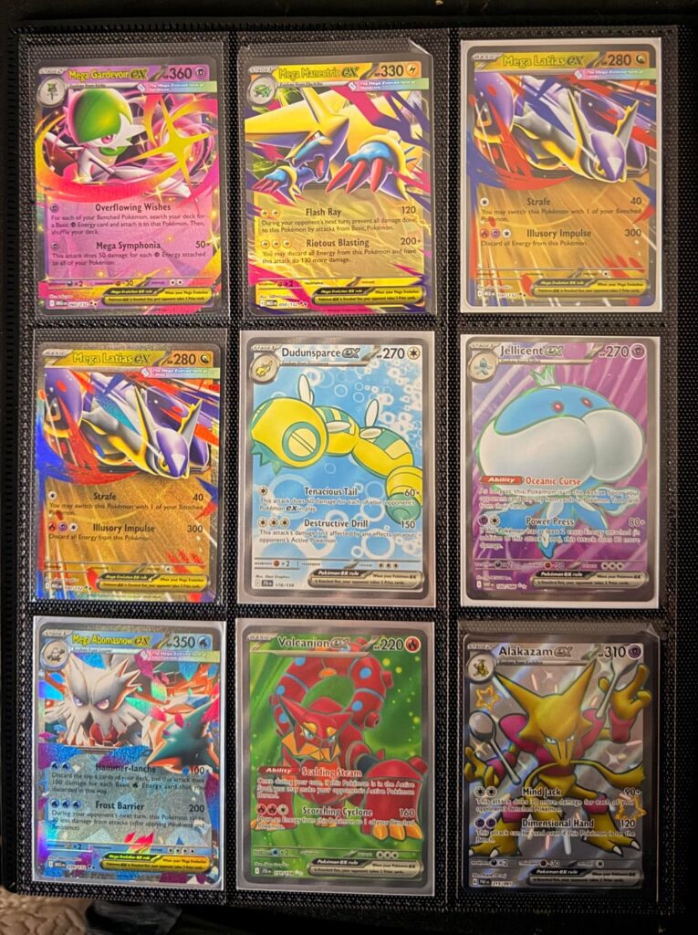 My Binder Collection