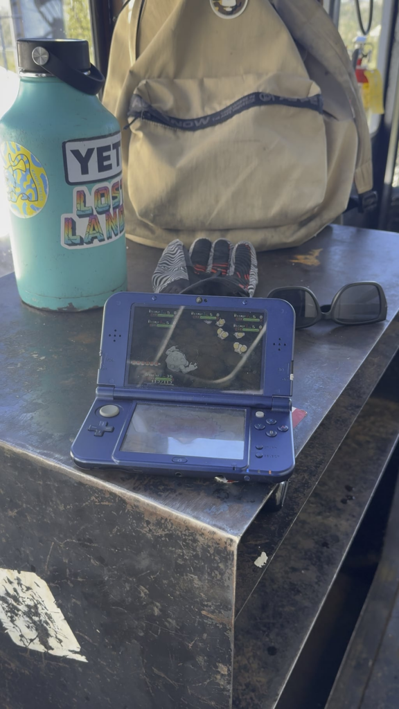 Shiny Hunting up top😎