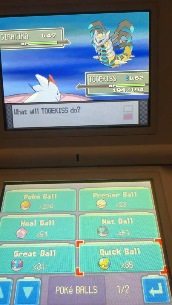 55 soft resets. Catastrophe ensued. Why??????