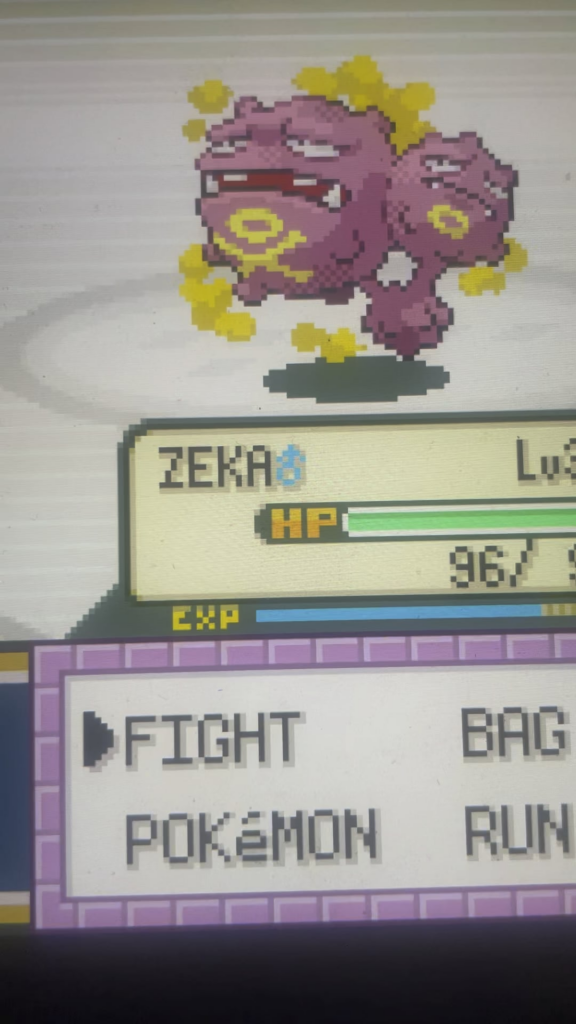 My Jolteon accidentally incurred the wrath of Zeus while fighting Koga