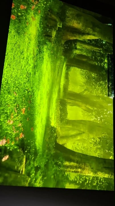 Think pokemon home will ever have a feature where you can just watch your Pokemon chill?