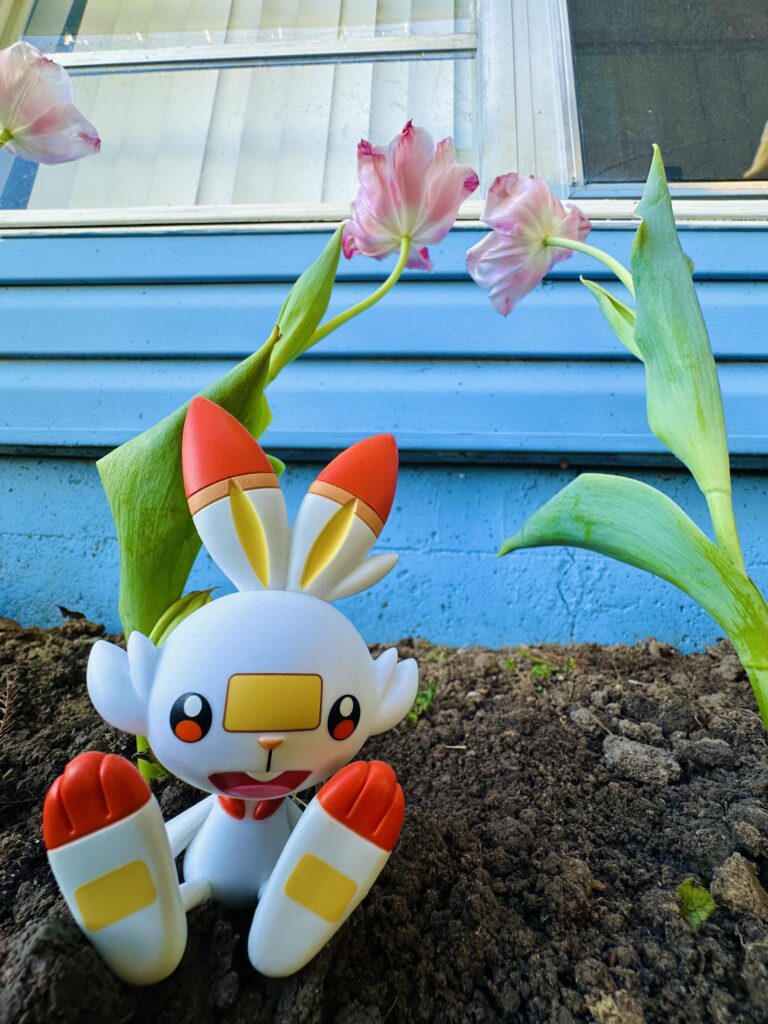 Happy Scorbunny community day!