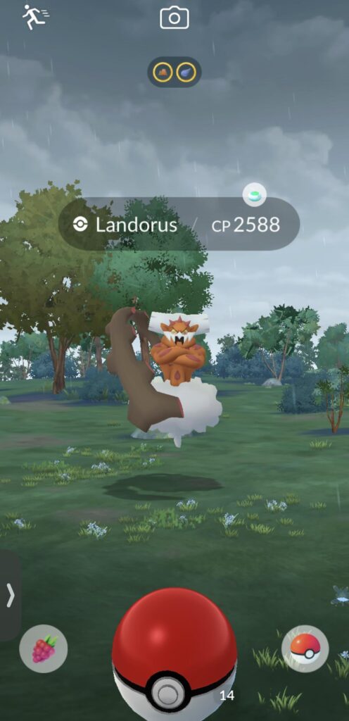 Landorus off of incense