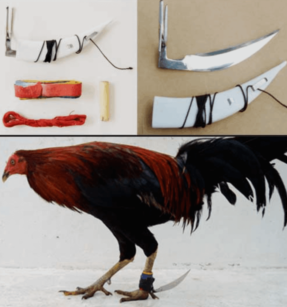 Possible Evo for Browt: Grass / Steel