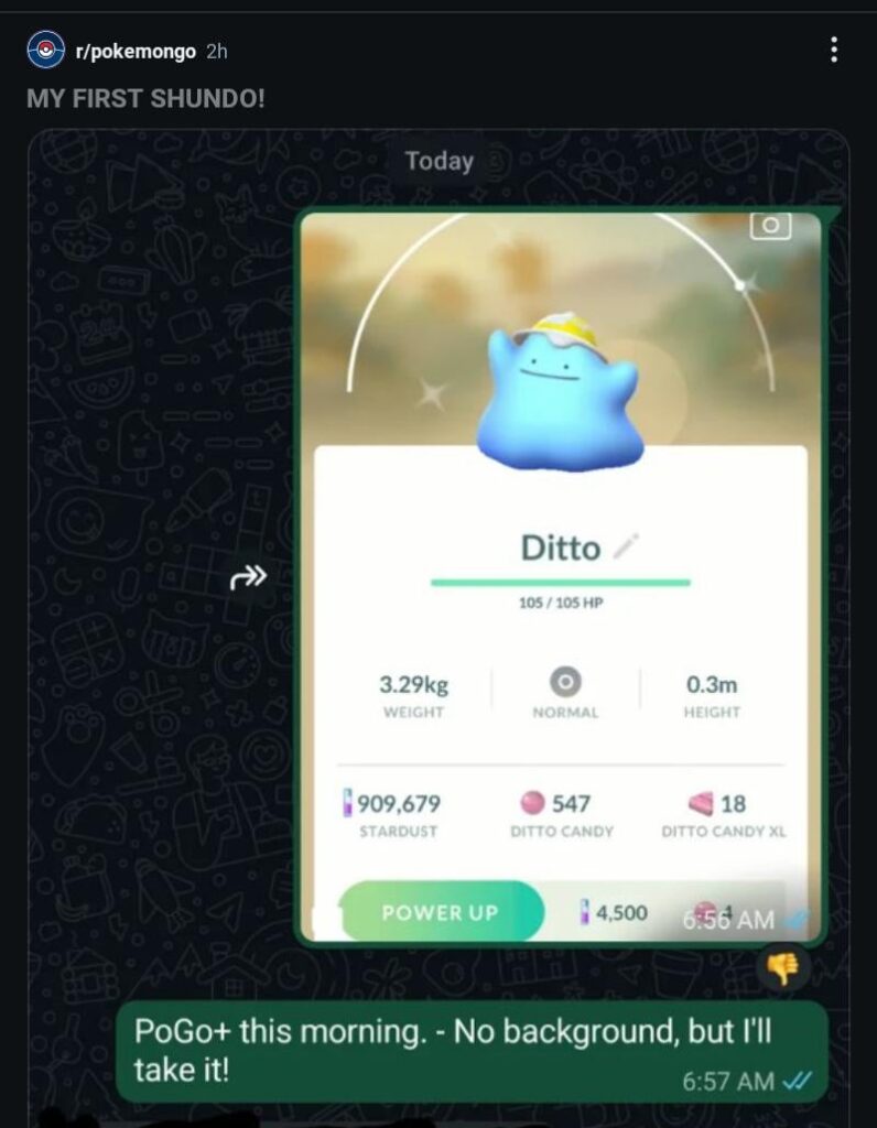 Can you still get the costume ditto?