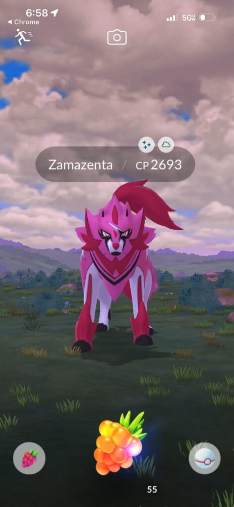 my first zamazenta !!!