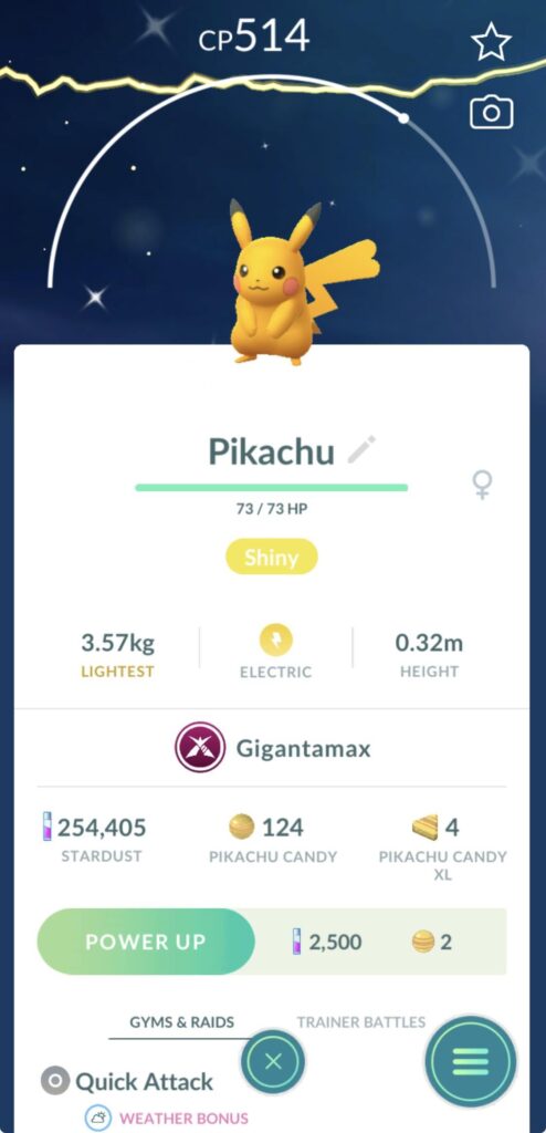 One Raid, One Shiny Pikachu