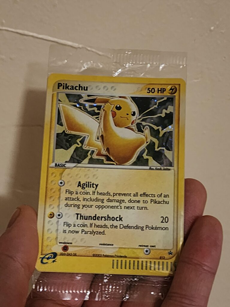 Does anyone know what could be behind this card?