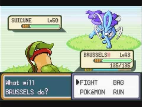 Finally I found suicune but I only left with master ball, what should I do?