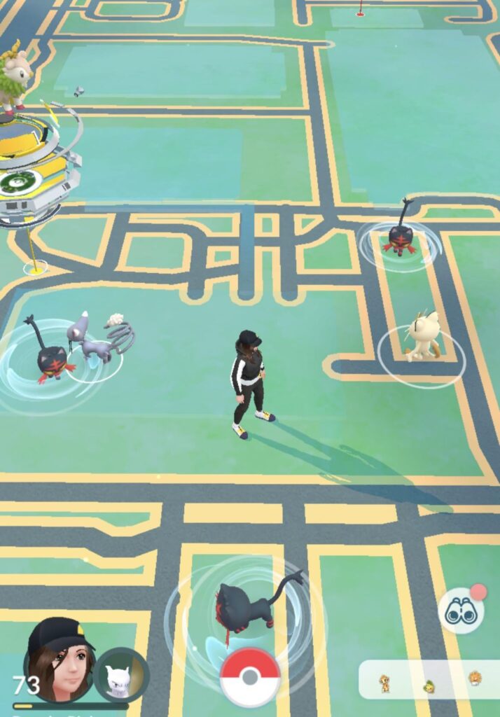 Who let da cats out?