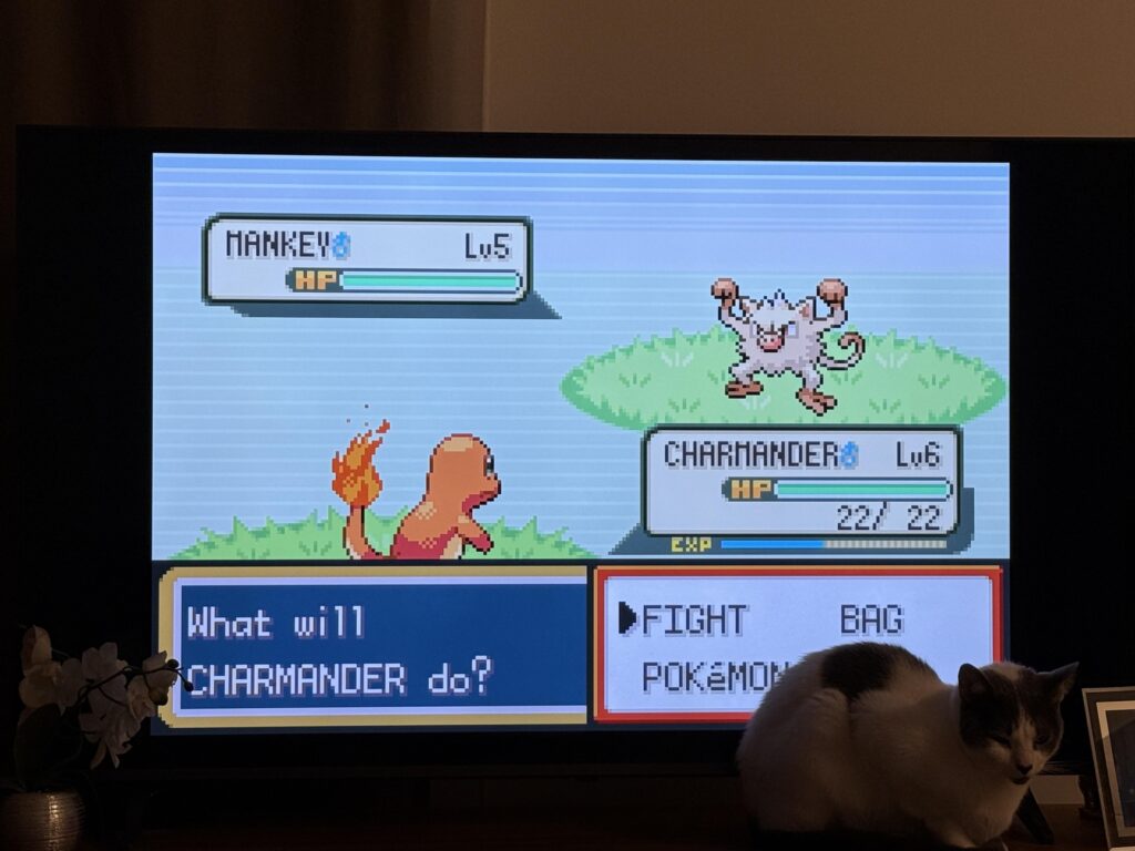 For those that have been playing for a few generations and back, have you made an effort to move all your Pokemon to the latest games (or even Home)?