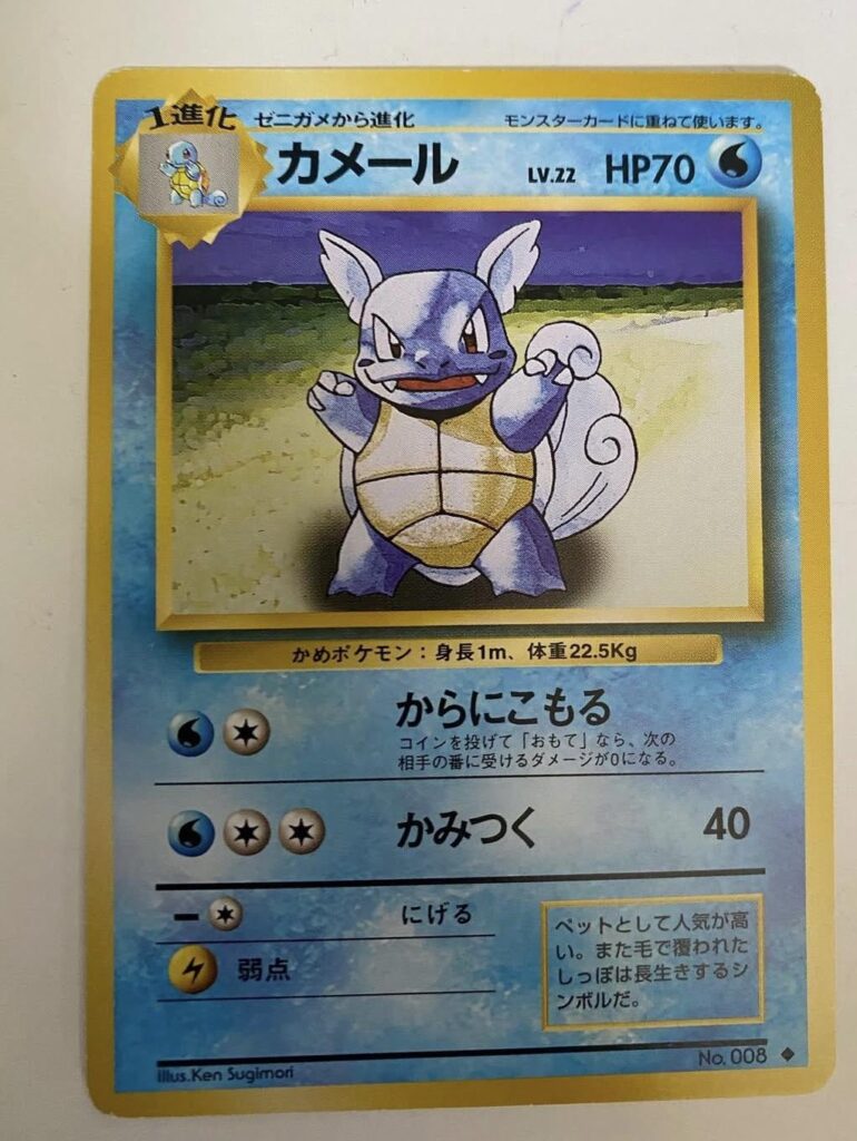 My Japanese wartortle :)
