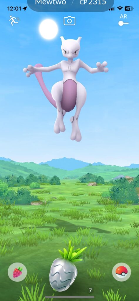 Where are the wild birds