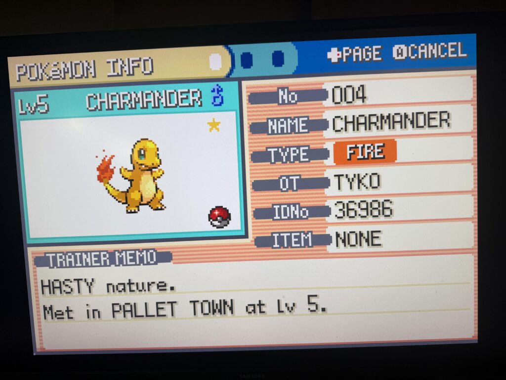 Got this little guy while watching John Wick. Probably should call him Wick.