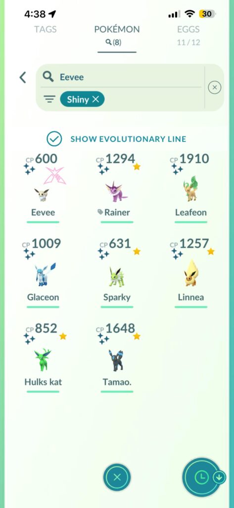 Missing just 1 eevee