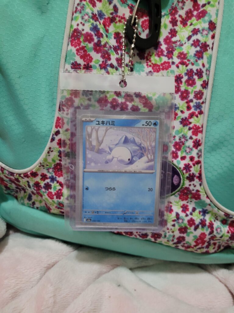 bringing my snom to his first day of school