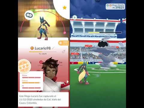 Raid Solo Mega Steelix VS Mega Lucario(Cloudy Weather🗡️)