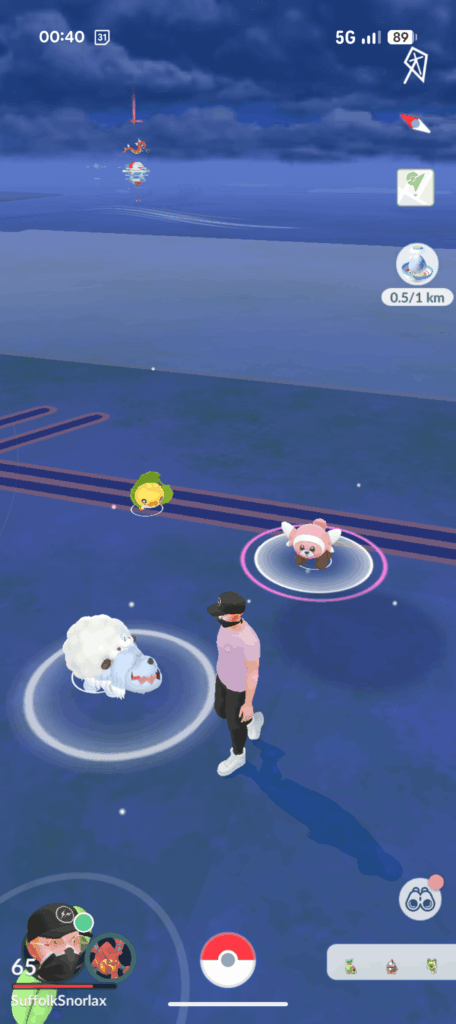 I found a rare sheepdog pokemon