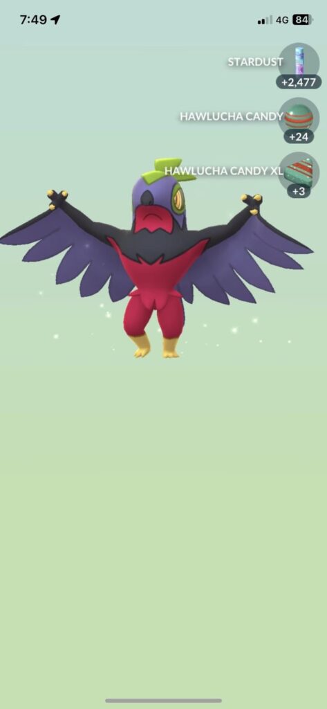 My very first Hawlucha, it’s also got good stats and it completes my Kalos Pokedex
