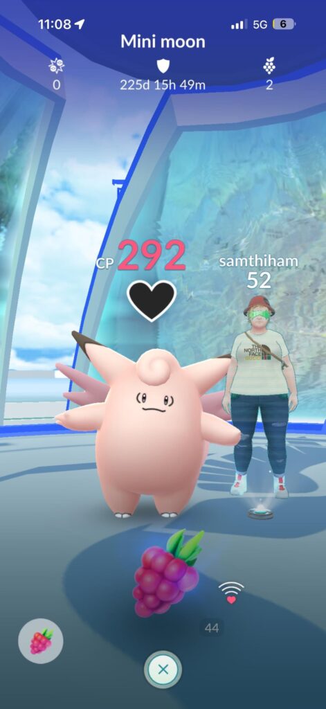 My Pokémon is stuck at the top of a mountain