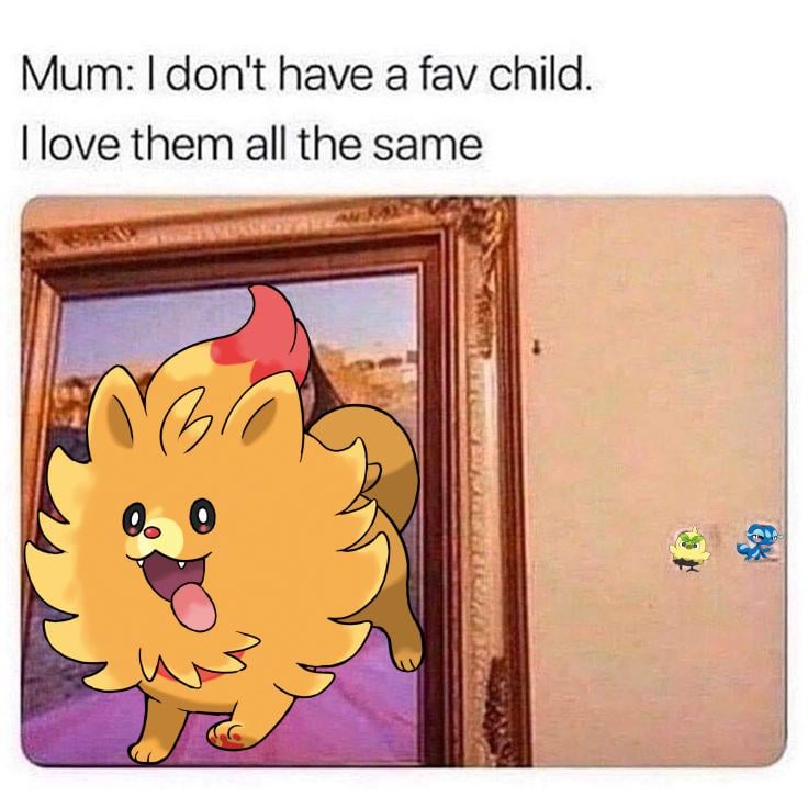 The state of the community.