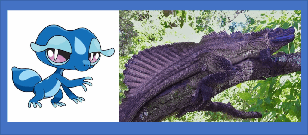 I want Gecqua final form to be based on the Sailfin Dragon, not the komodo dragon because wee already have a Pokemon based on the Komodo Dragon: Kommo-o.