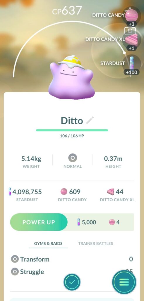 Hey, my first capture of the day was a timburr that turned out to be this guy.