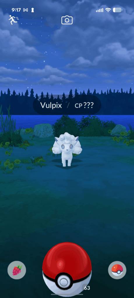 3rd Pokemon Interaction