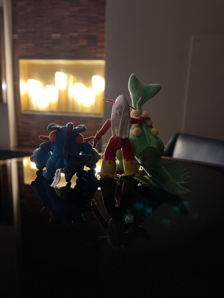 What picture do you think is better? 1 or 2?