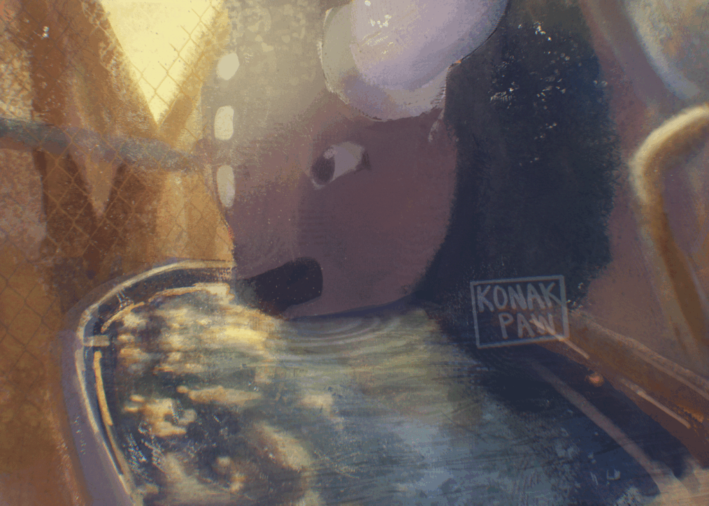 [OC] his aegyo is so refreshing