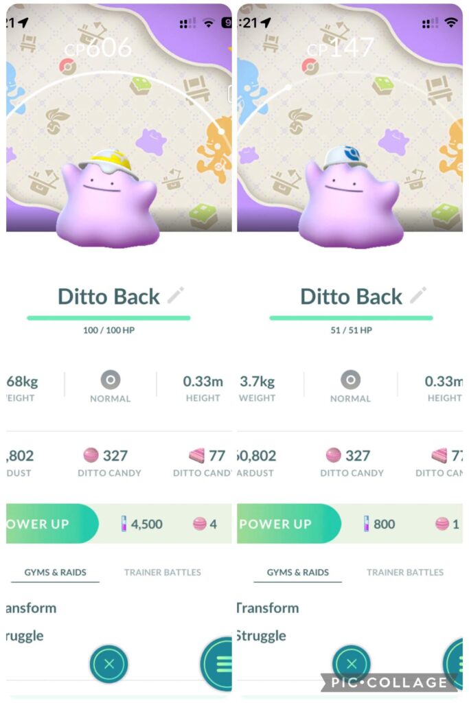 Ditto with background