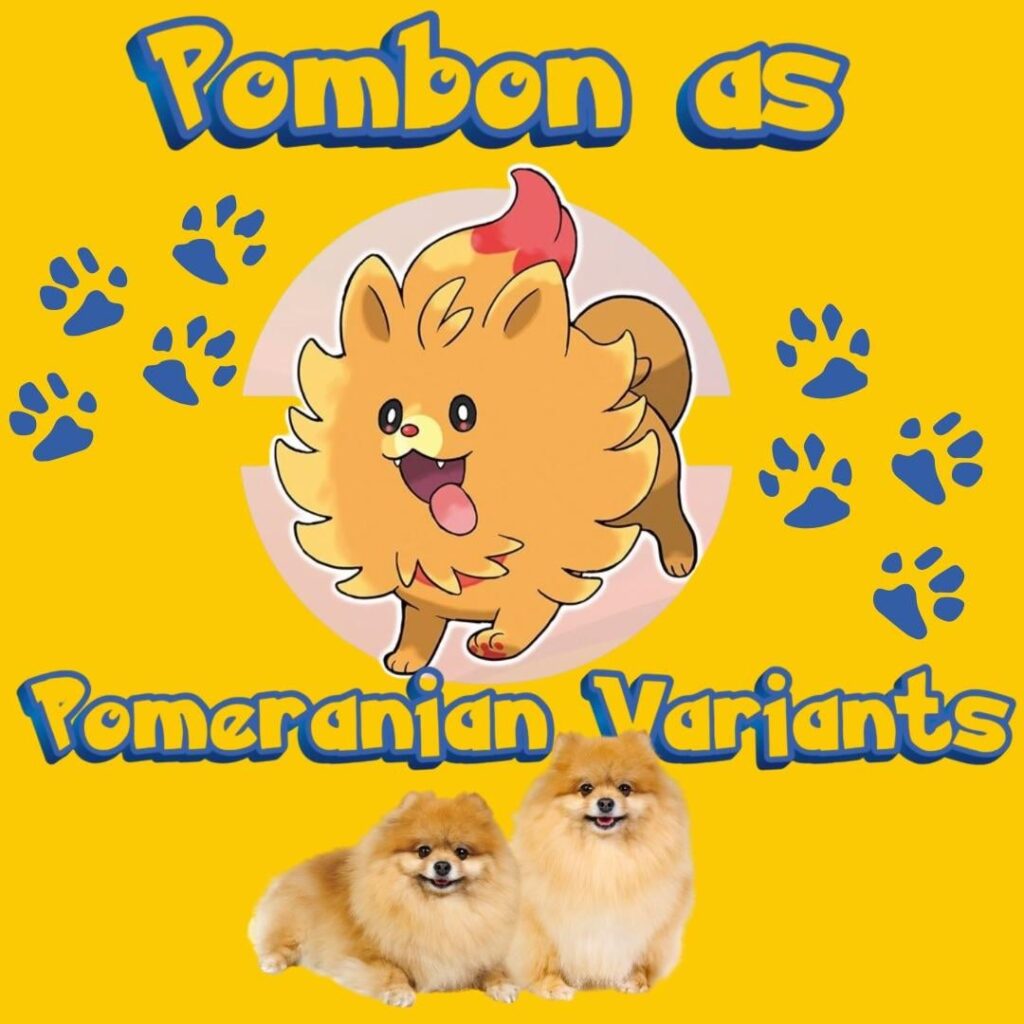Pombon as Pomeranian Variants