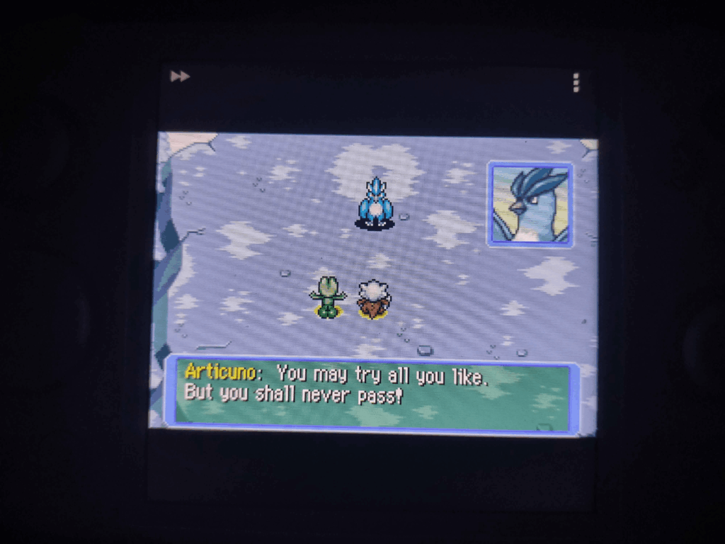 One must imagine Cubone and Treecko happy. (I am never getting the HELL out of here).