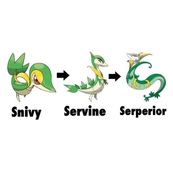 "please stay on all fours" pokemon black and white: