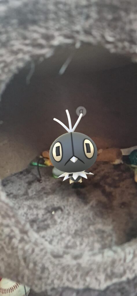 Scatterbug thinks hes a part of my cats toys