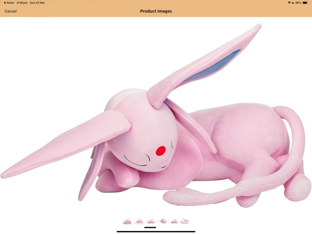 Jazwears sleeping Eeveelutions