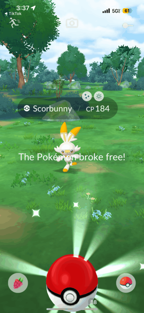 Shiny pokémon’s