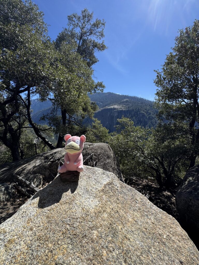 Slow trip to Yosemite