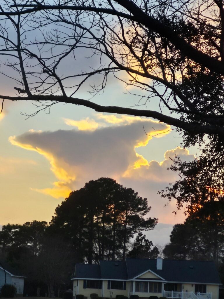 Pikachu Cloud ☁️ ⚡️
